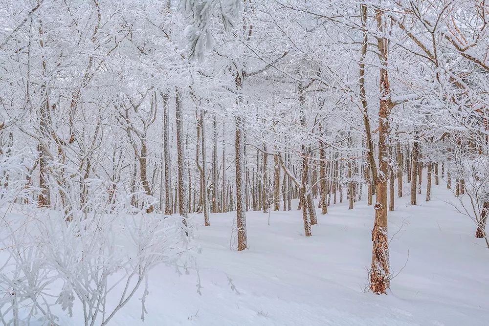 赏雪何须去北国,赏梦幻雾凇耍雪的绝佳去处