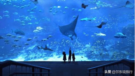 寒假亲子游最佳攻略,寒假国内亲子游攻略