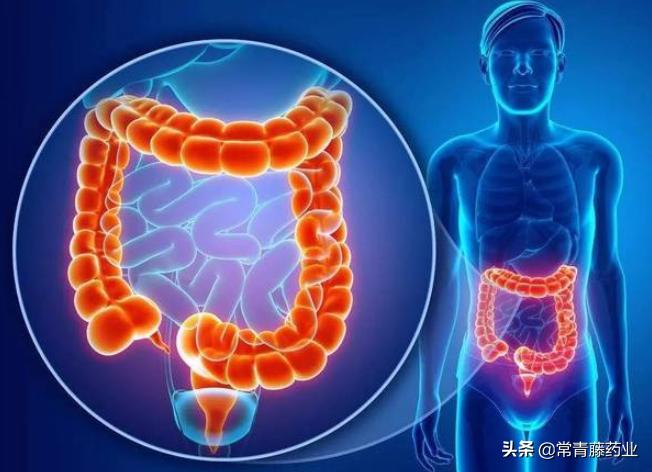 阑尾炎什么样的症状为轻症,符合阑尾炎症状是不是就是阑尾炎