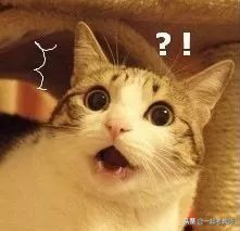 教师资格证报考怎样才算成功了,35岁才考到教师资格证有用吗