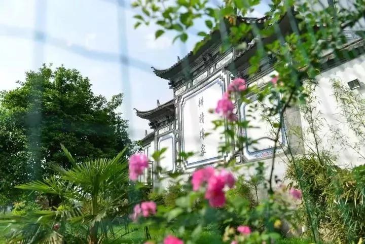 5月去了让人心安的大理,5月底的大理景色怎么样