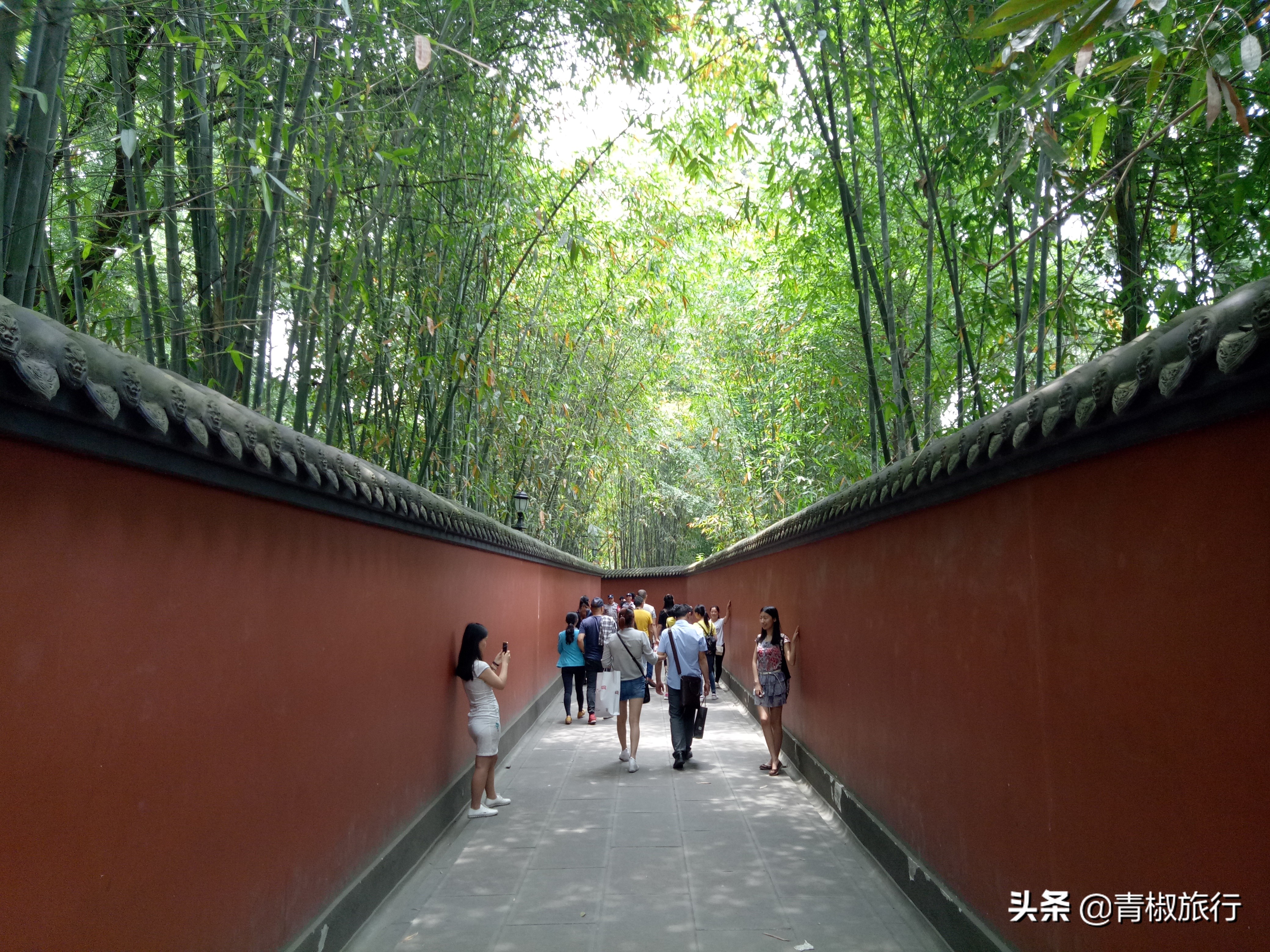 成都旅游攻略必去的地方推荐,成都小众旅游攻略自由行攻略