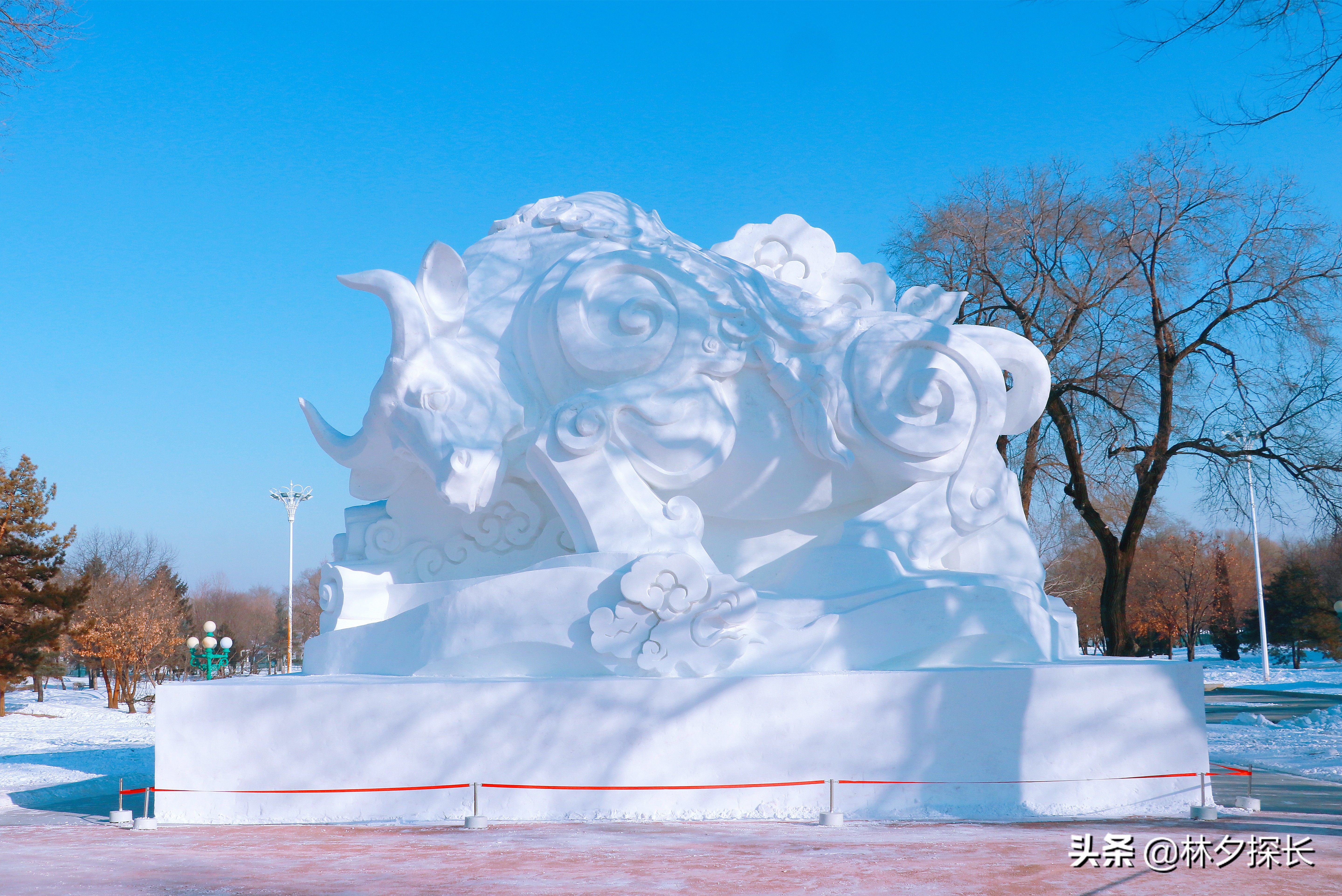 哈尔滨冬季旅游注意事项,来哈尔滨旅游的注意事项有哪些
