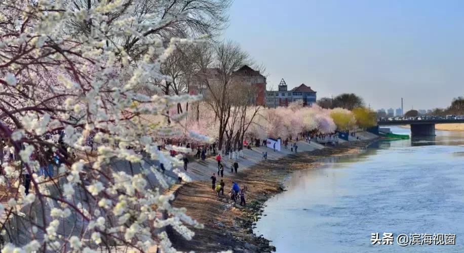 重磅！2019天津要新建这些公园！地铁公交直达！不知道就亏大了！