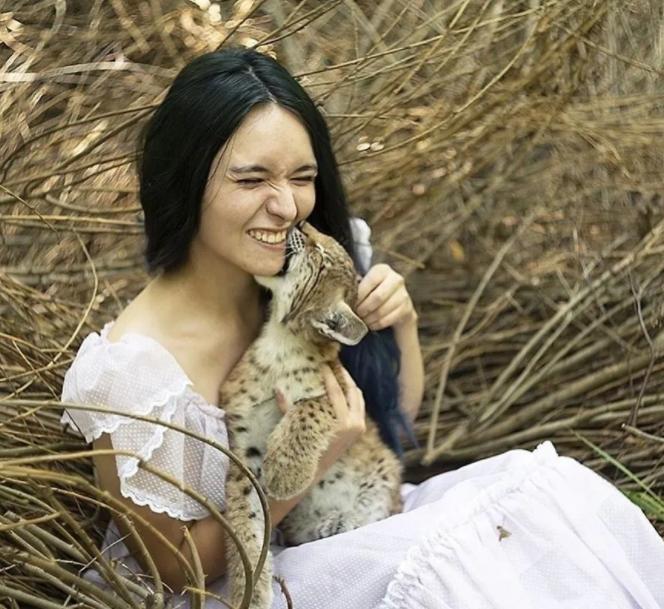 想养猫又怕被猫抓,俄罗斯养猞猁