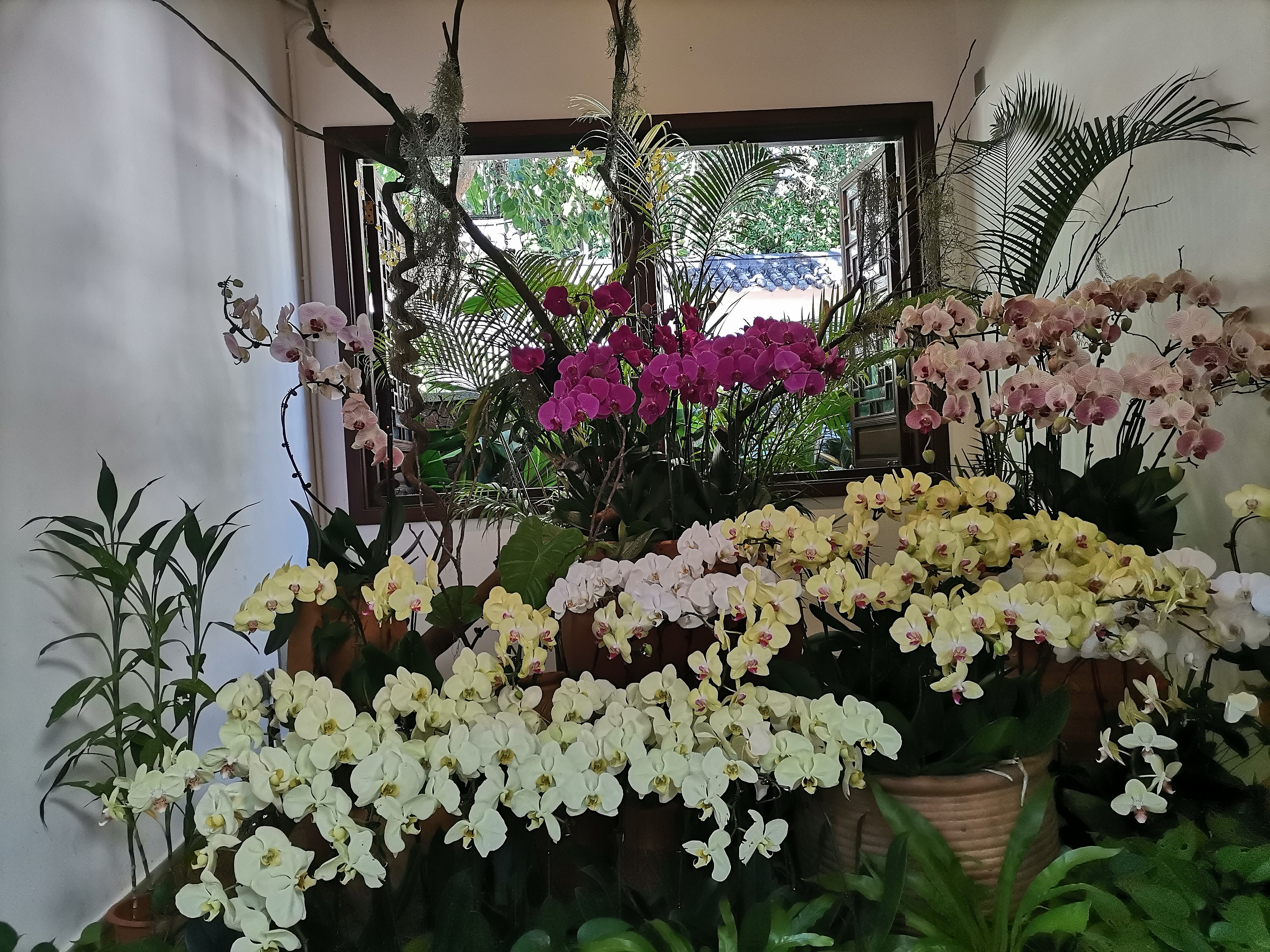 去了海南三亚,去完三亚热带森林公园可以逛哪里