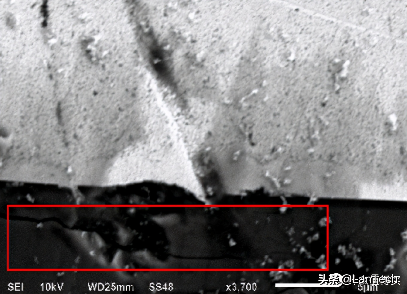 看芯片内部用什么显微镜,芯片在显微镜下的样子