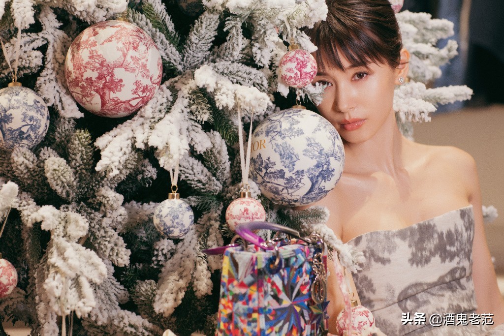 整容成小三,整容变美却嫁给丑八怪