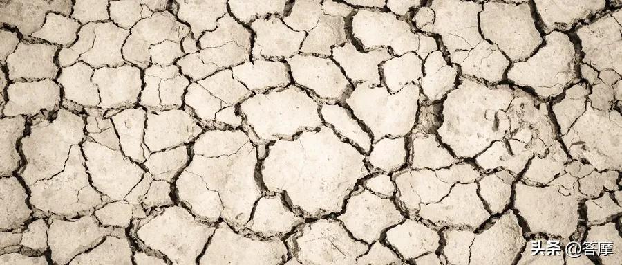 舌象脏腑图,体内有湿寒的舌象