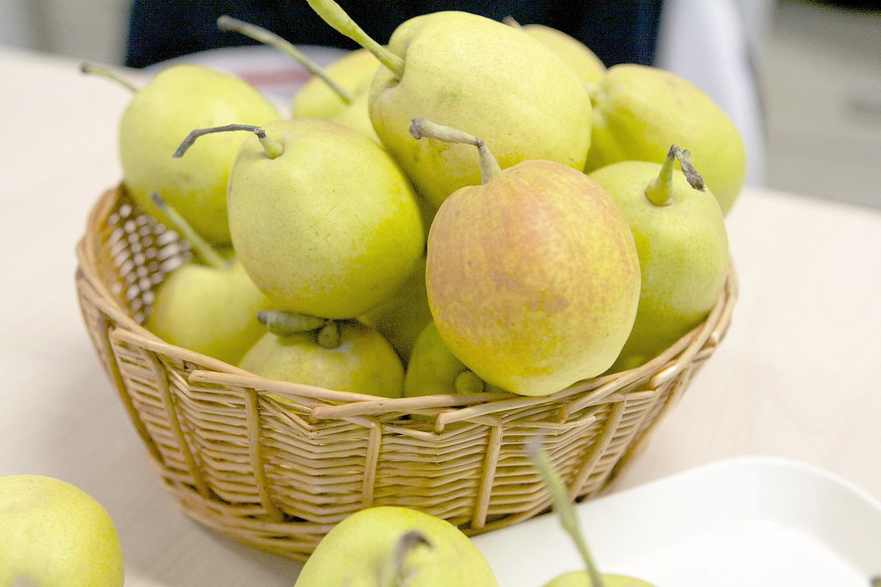 疆内旅游十大好去处,从新疆去哪旅游最便宜