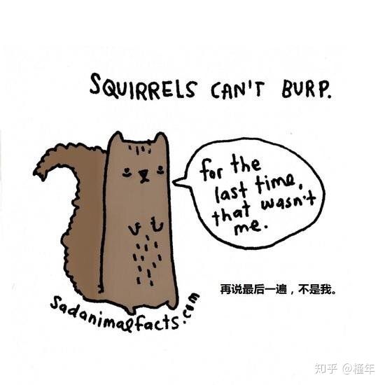 想象中不一样的动物冷知识,悲伤的动物视频