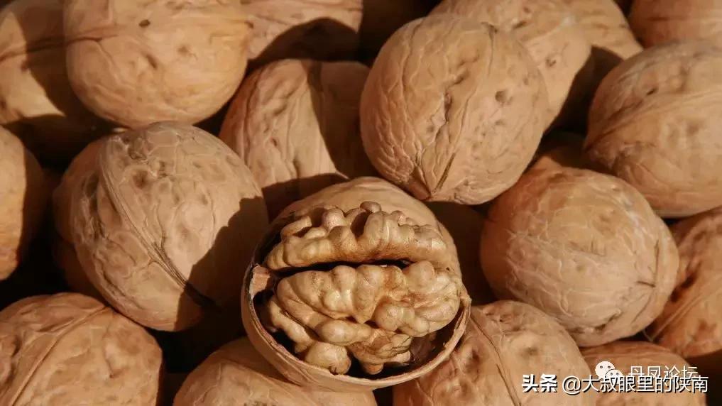 丹凤县七一建党节活动,丹凤建党