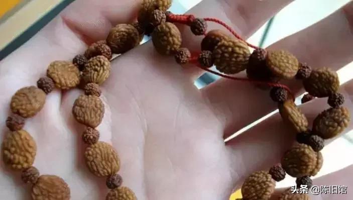 最值得玩的菩提子,真正的菩提子
