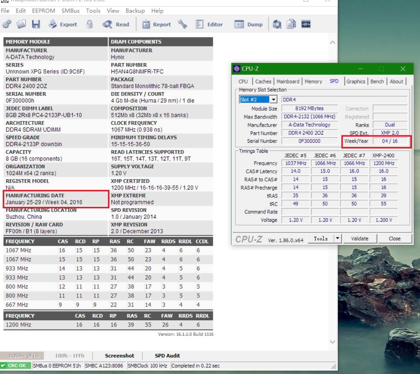 避坑指南正版在哪买,买主机避坑能买品牌的吗