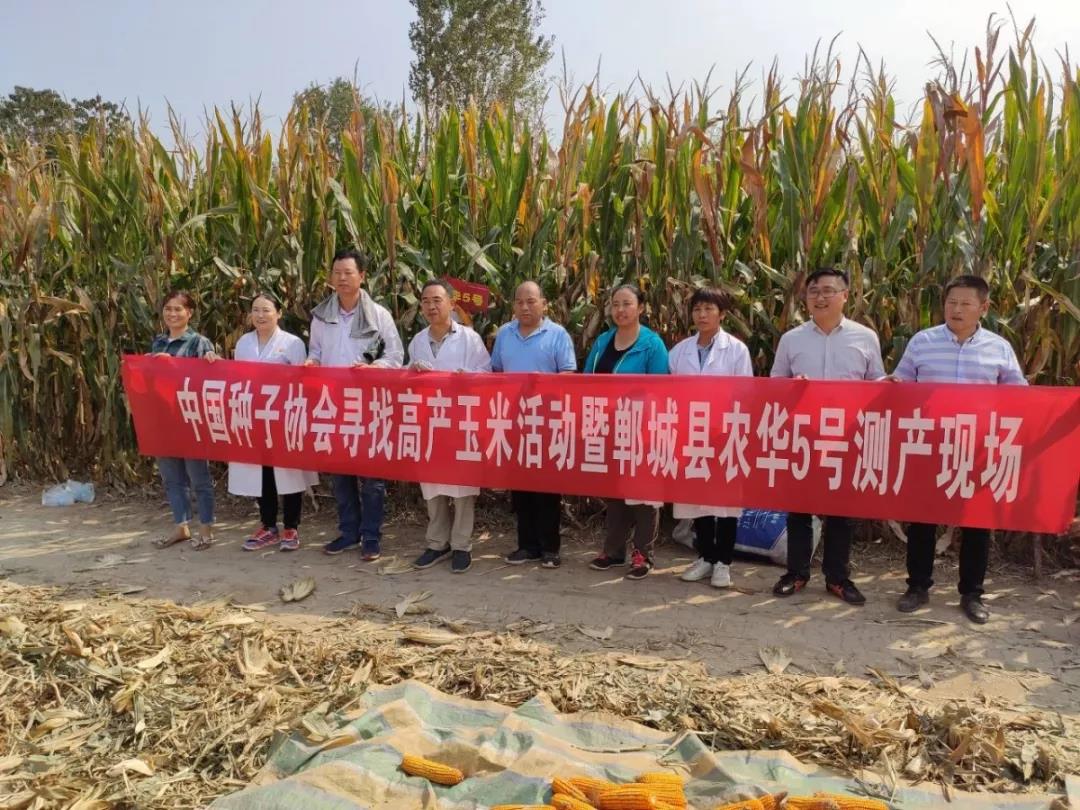 抗性好容重高的玉米种,抗逆性强的玉米种