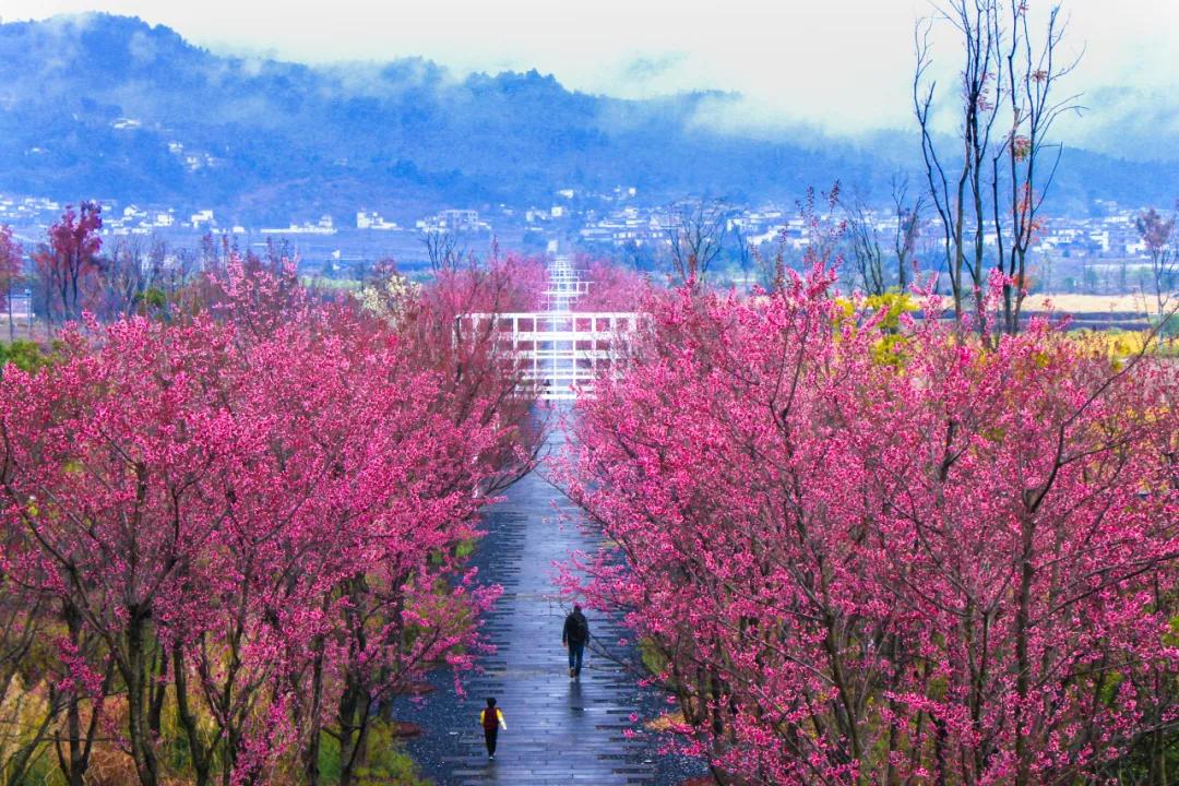 这是一个充满生机的公园怎么说,这是一个充满生机的国度朗诵