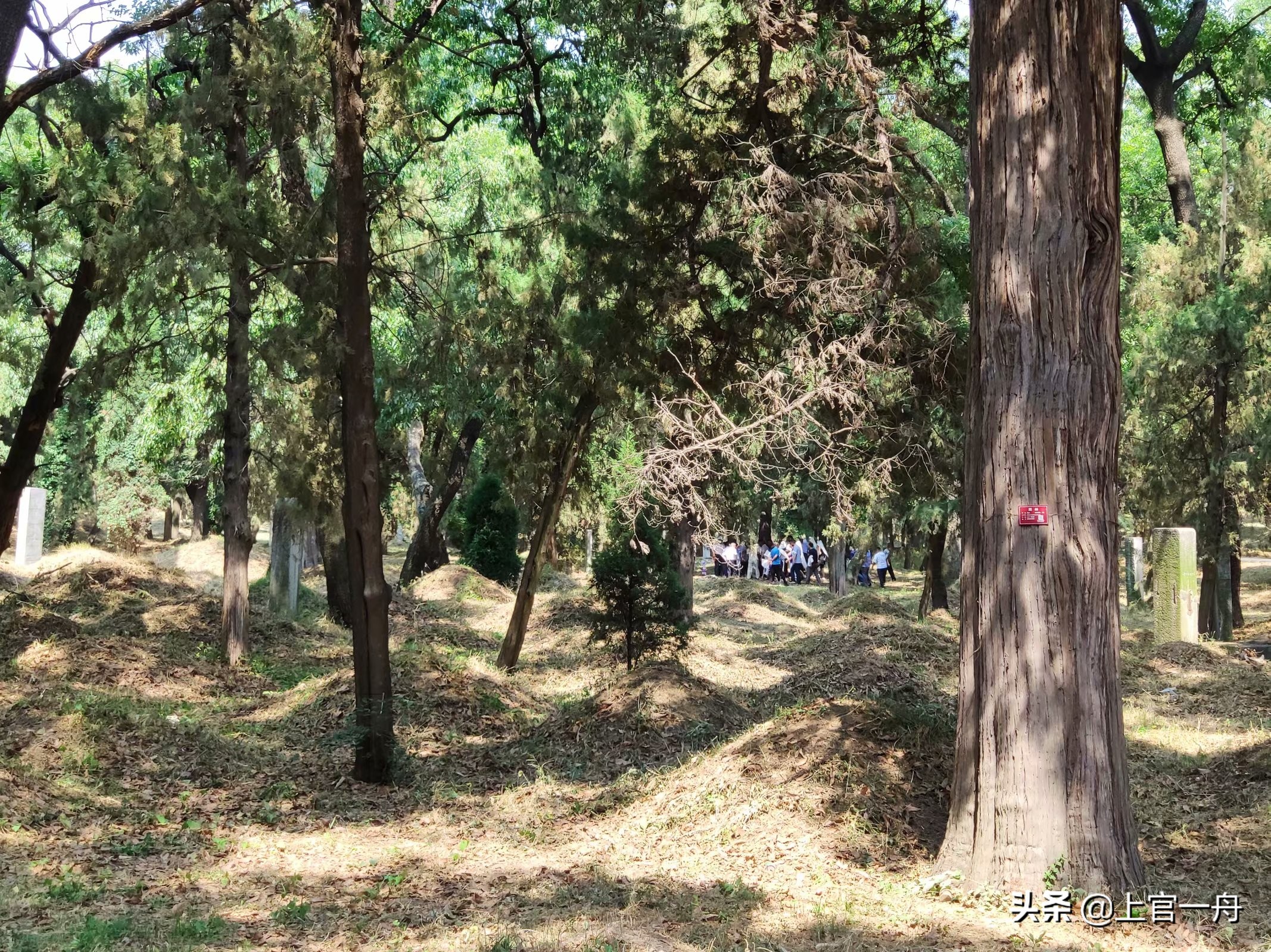 去往孔子故乡,原来孔子后人还有这种特权