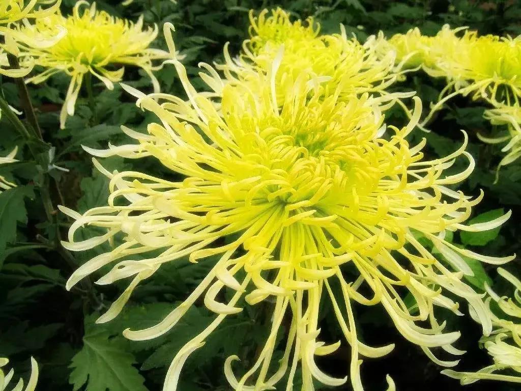 中国古时对月份的雅称,十二月份的别称和雅称