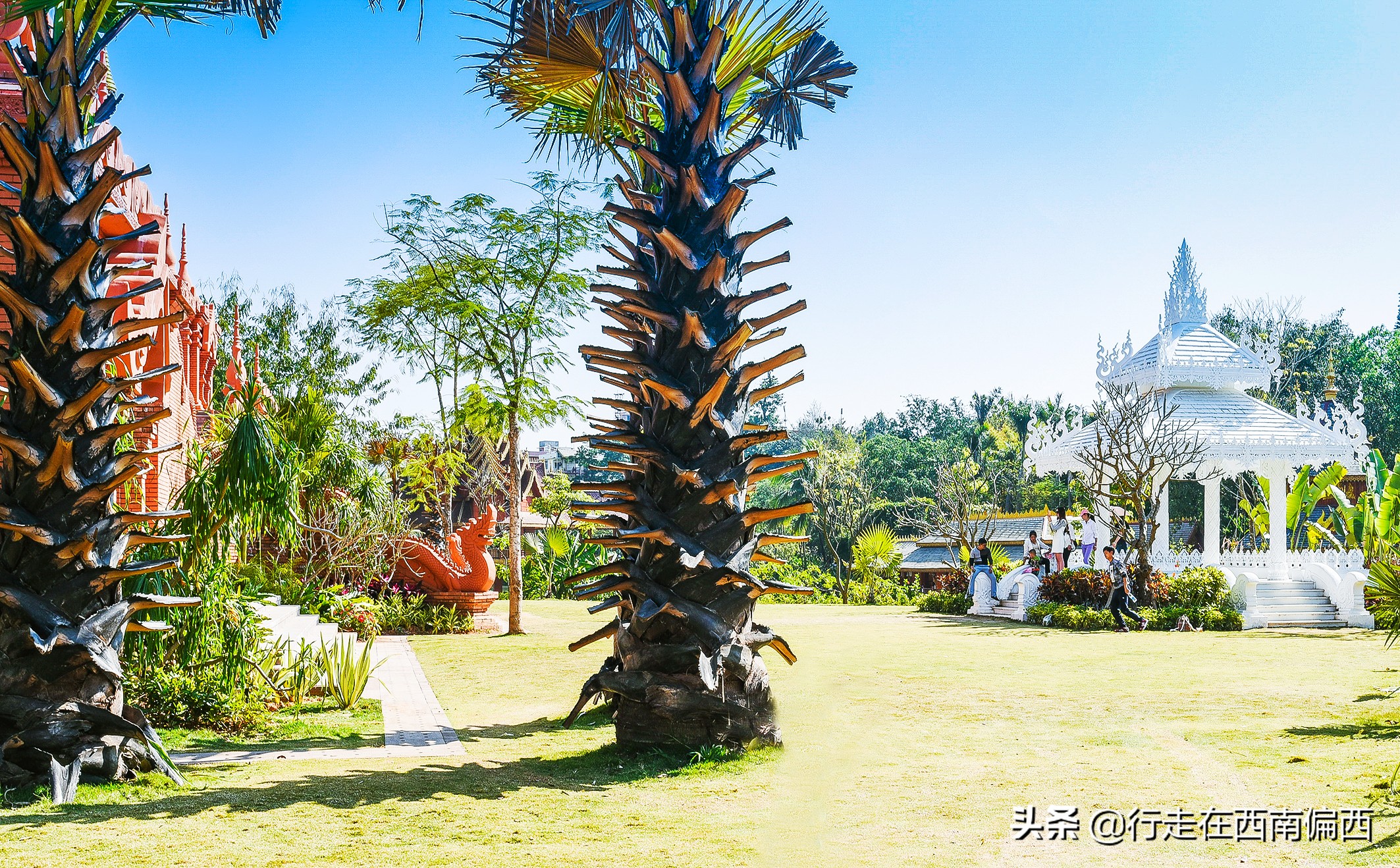 西双版纳五树六花中心,西双版纳五树六花地理位置