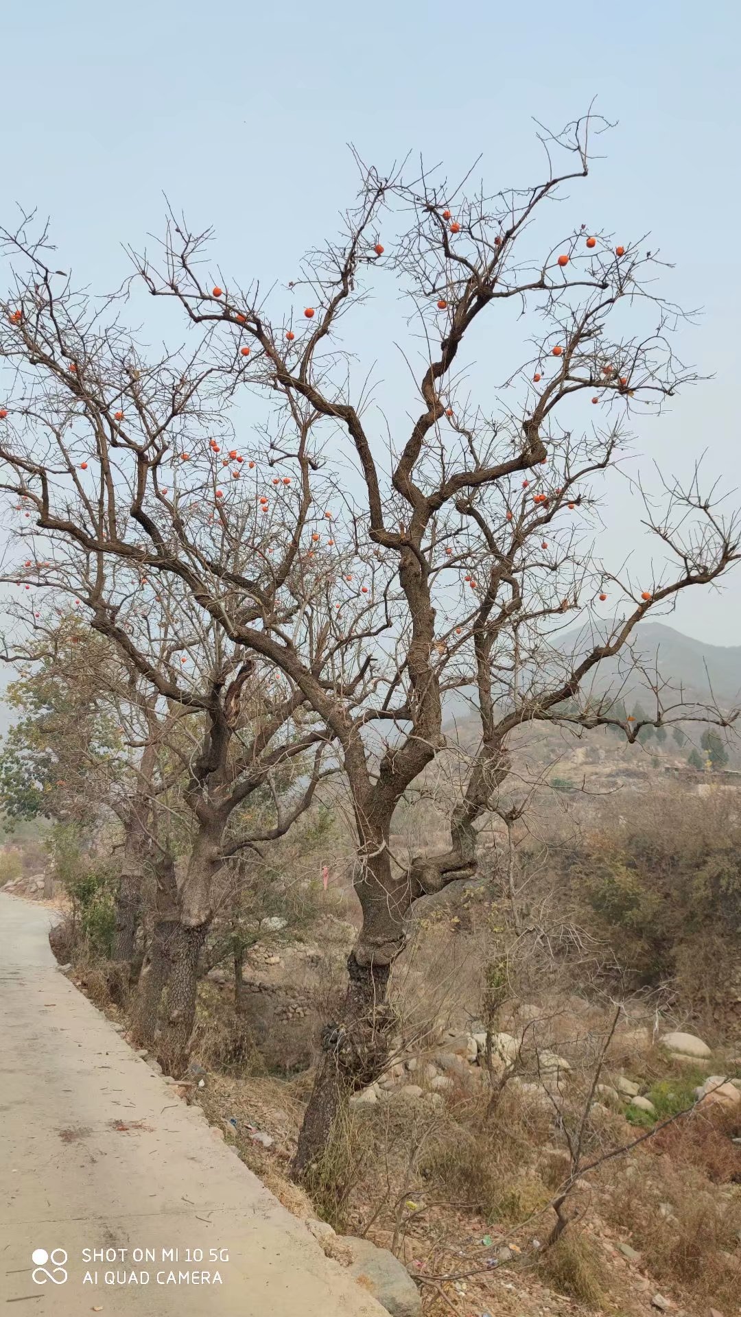 情人谷进入百里天路,情人谷徒步穿越