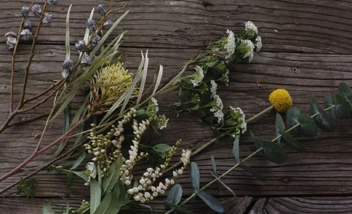 北京最美花店,她放弃了总监职位后续