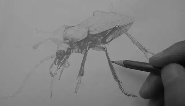 漫画入门零基础画画教程,0基础画画临摹推荐