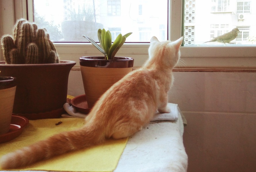 太极拳笔记图片,太极拳练功札记