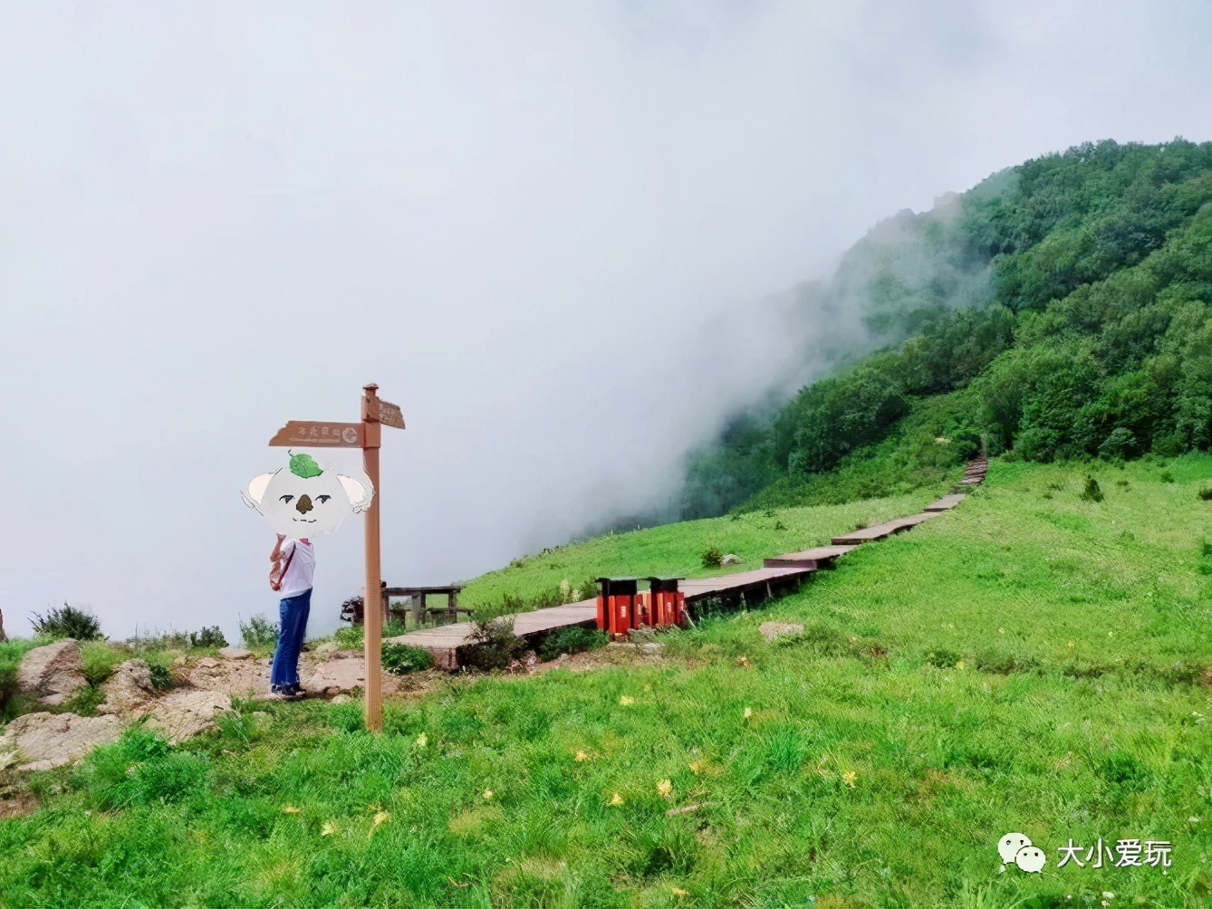 北京夏季最美十大登山步道,北京有一个神奇而美丽的步道