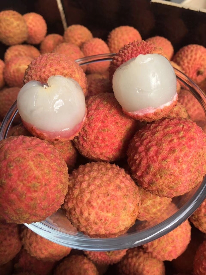 日啖荔枝三百颗受得了吗,日啖荔枝三百颗的啖读什么