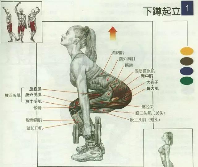 腿部前侧肌肉的训练方法,腿部核心稳定训练