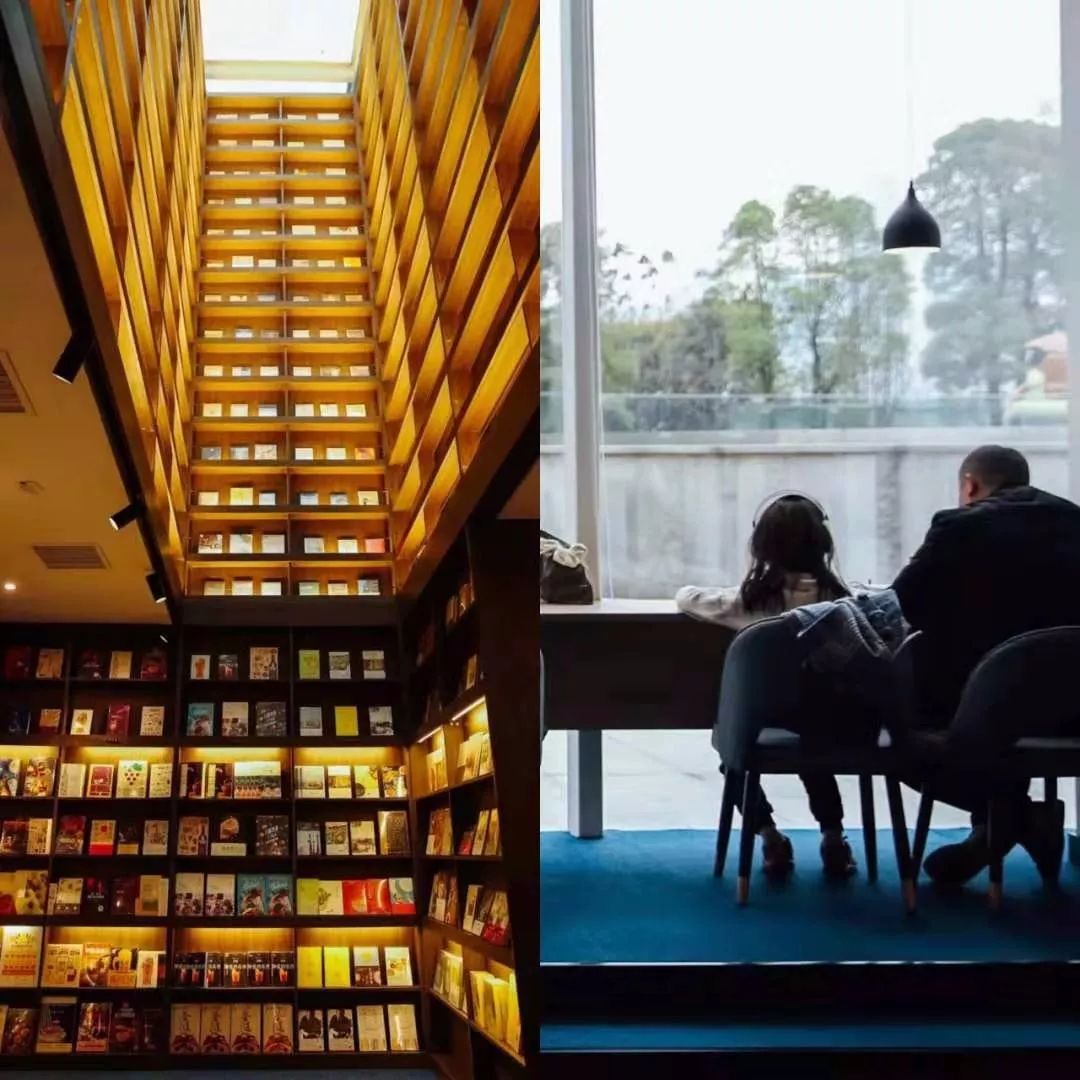 放弃城市40万年薪，夫妻躲进深山造出“最美书店”引600万人围观