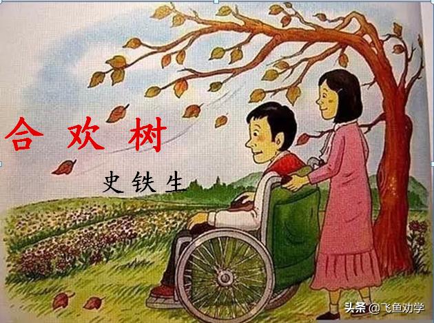 木棉树，*欢合**树，枇杷树：这3棵树写出了3个女人最精彩的一生