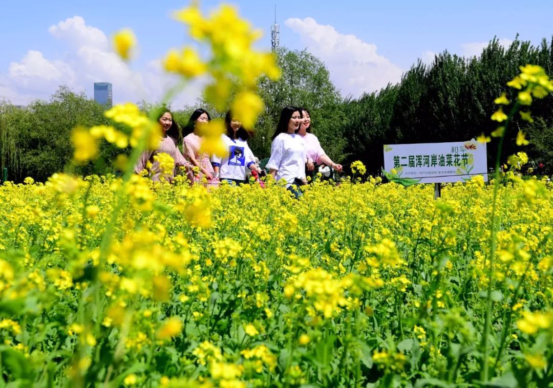 沈阳长白岛原来的样子,沈阳长白岛以前到现在发展