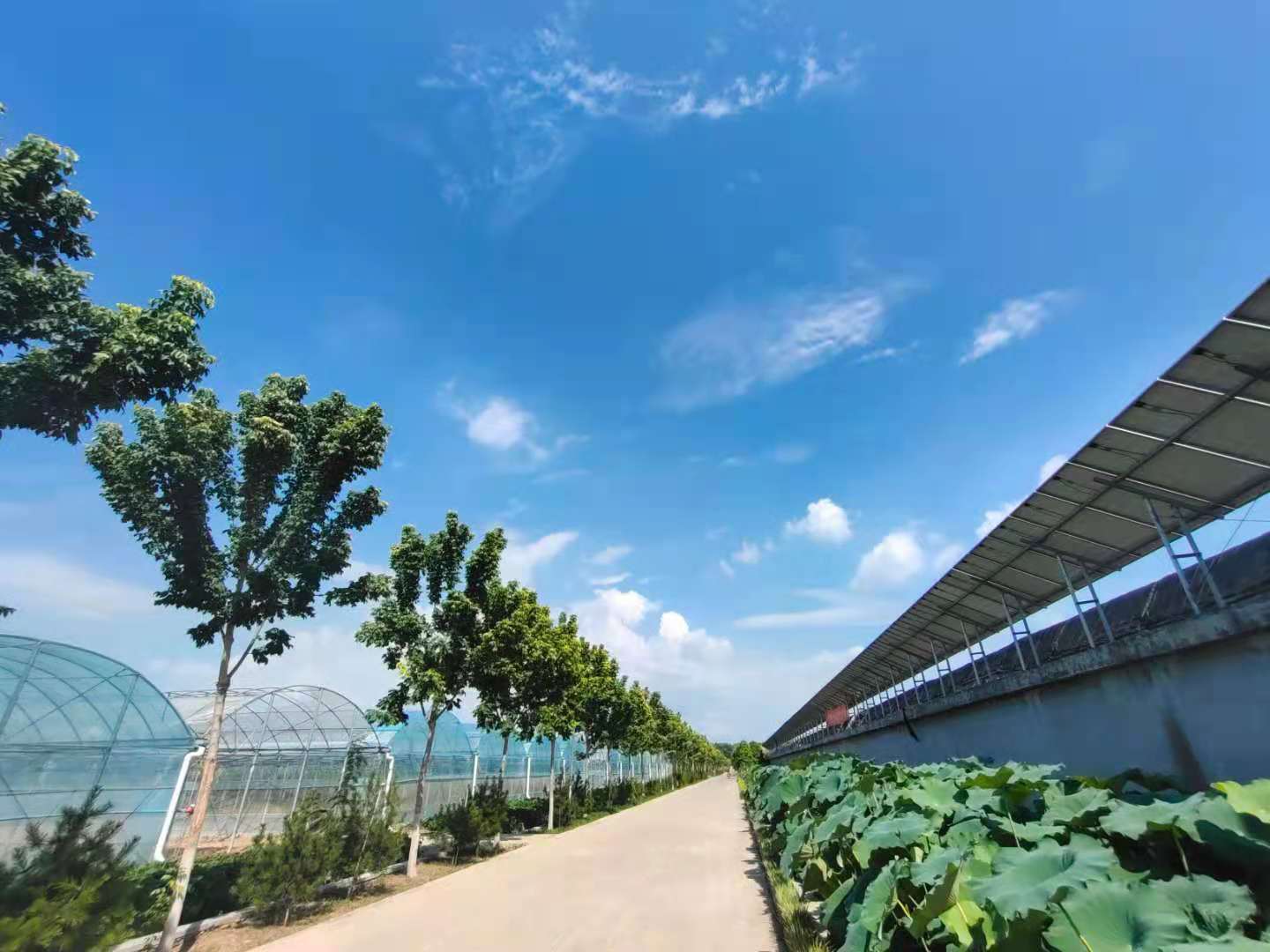 秋风也悄然而至,秋风将至之时