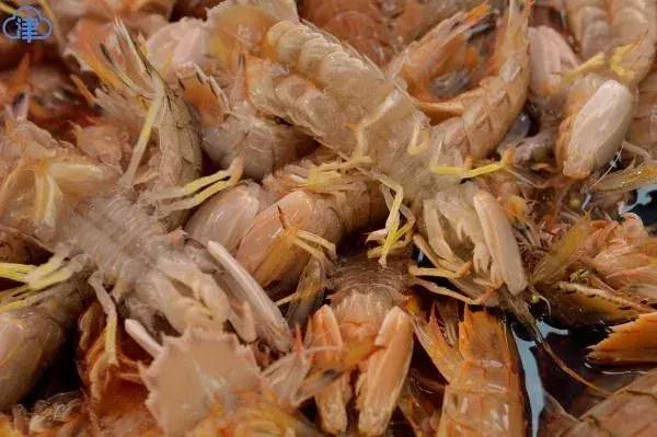 有一种炫富叫青岛开海,有一种炫富叫青岛开海了