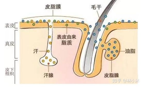 孕妇用品都有哪些骗局,黑心商家想坑孕妇结果自己惨了