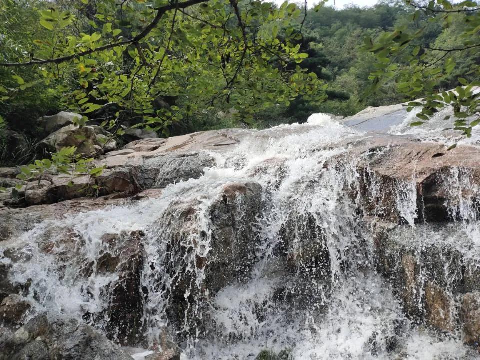 被央视打卡的梨花胜境，千亩白瓣状似雪花，济南莱芜区还有这些国家级景区不容错过！