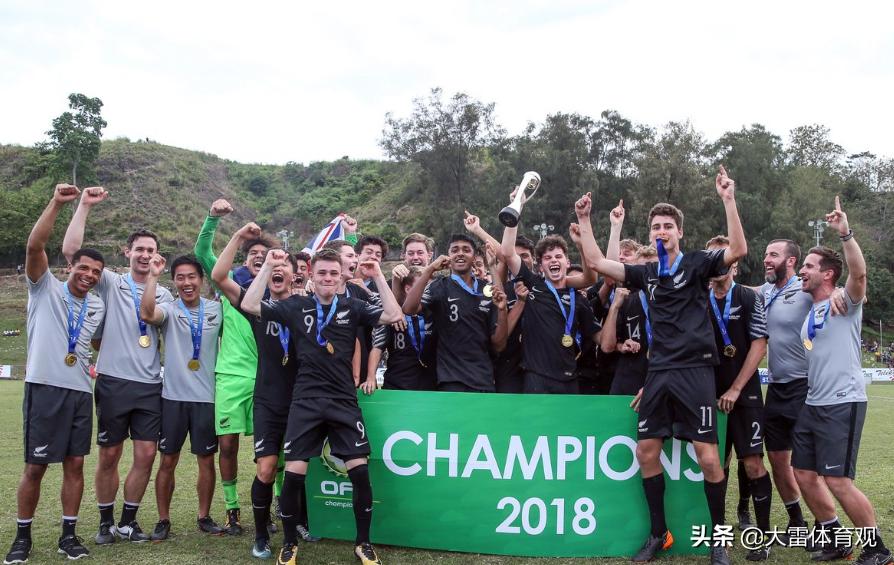 归化吗？就让我们做一回疯子吧