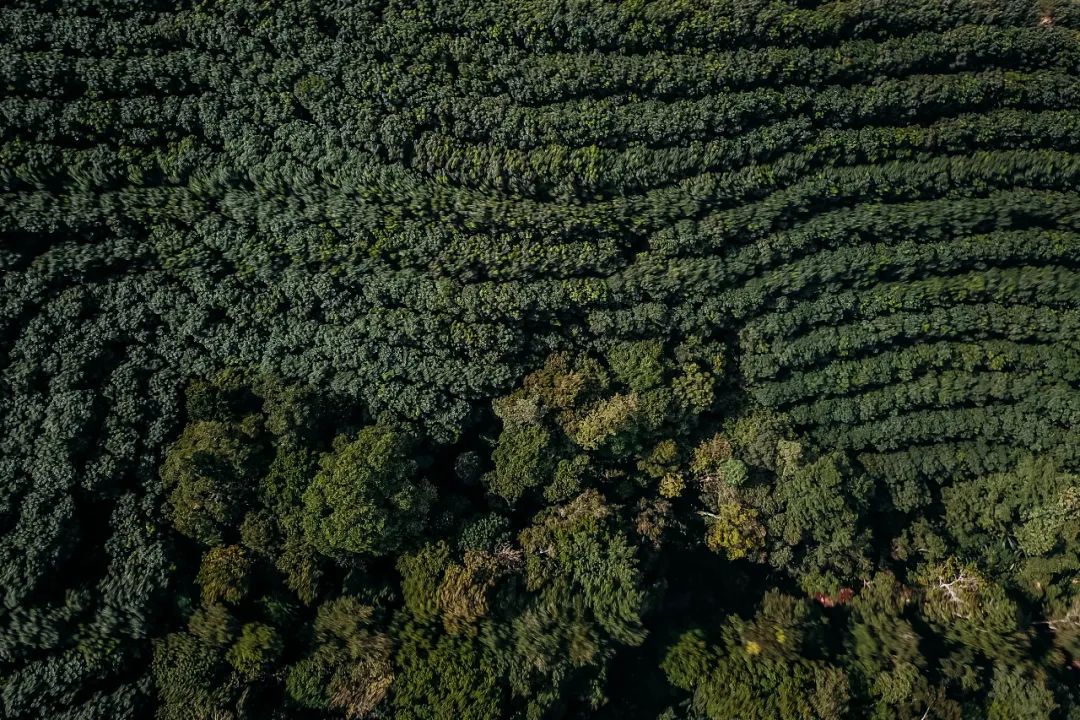 GQ报道,gq报道号