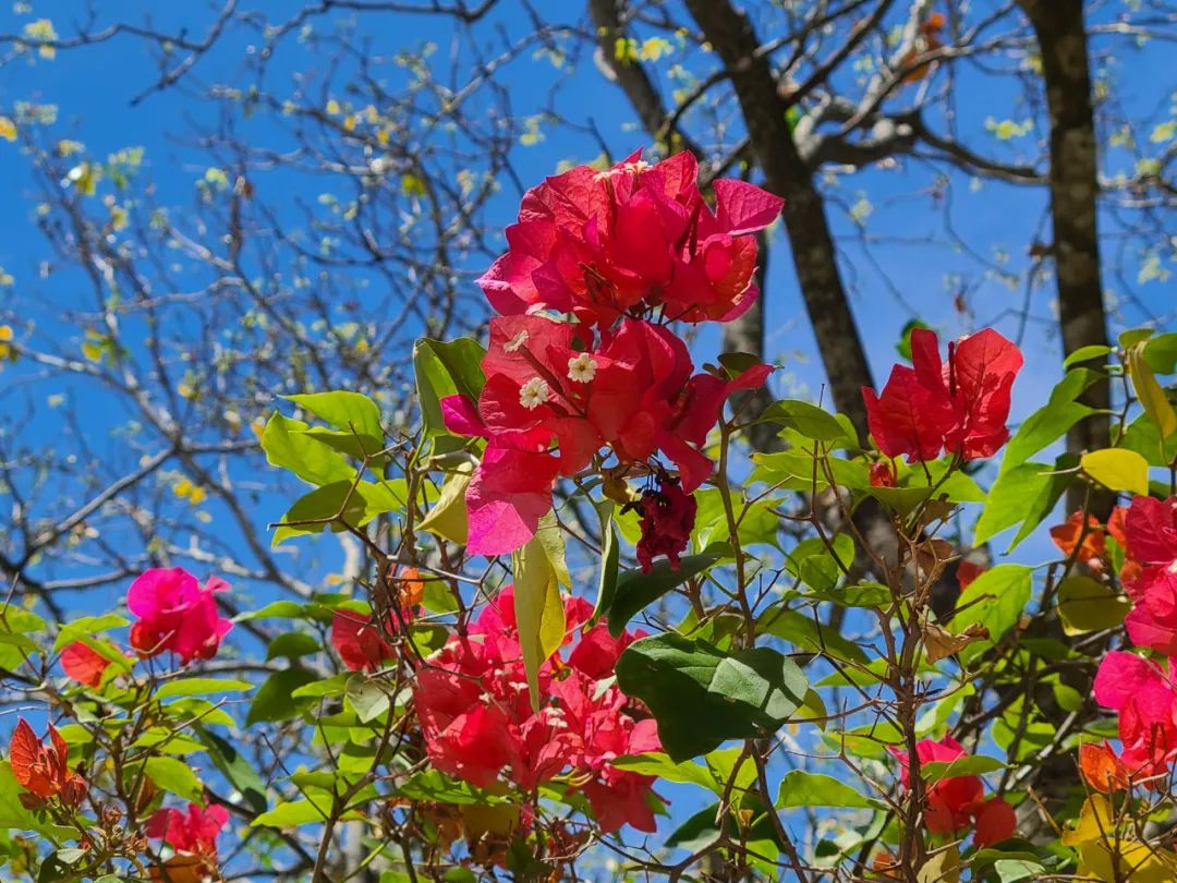海南旅游纪实,海南旅游记录视频