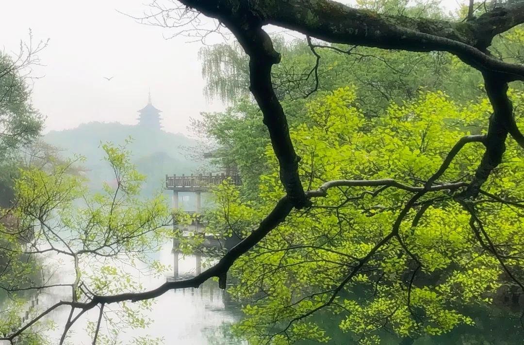 杭州十大绝美园林,杭州西湖园林风景