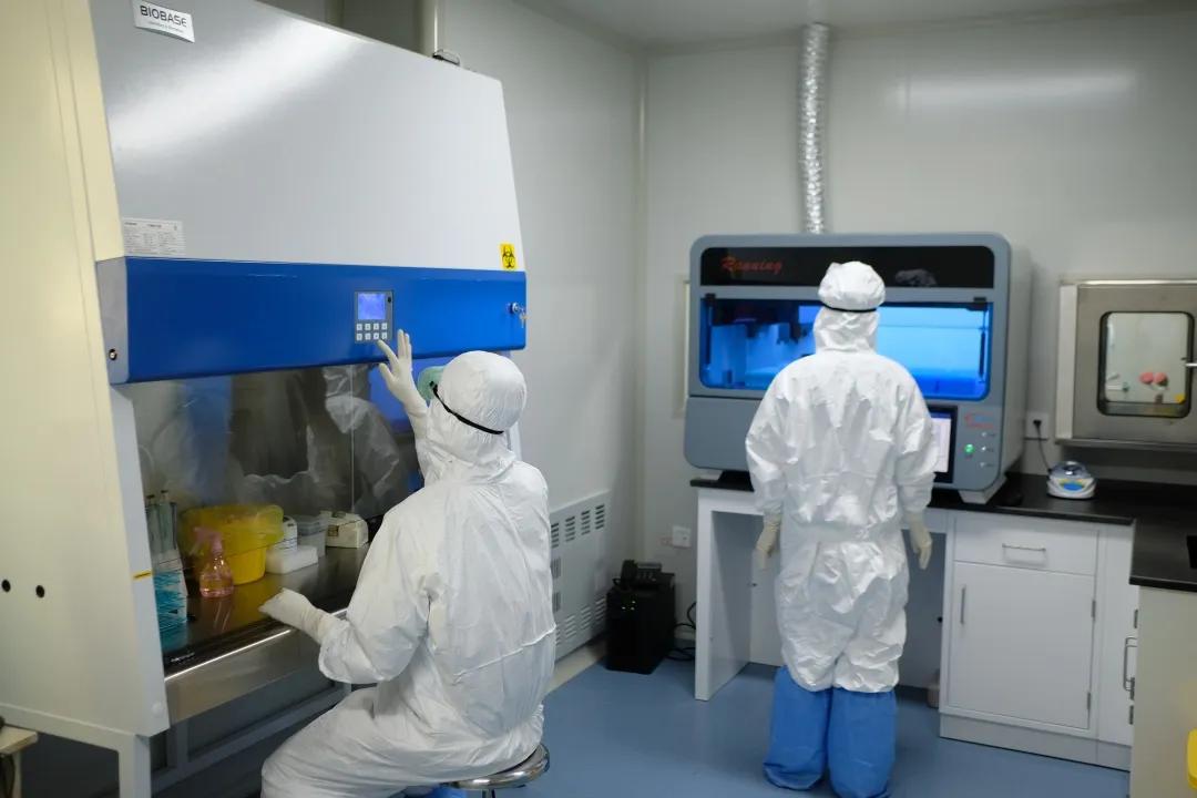 pcr实验室建立多少钱,县医院pcr实验室公示