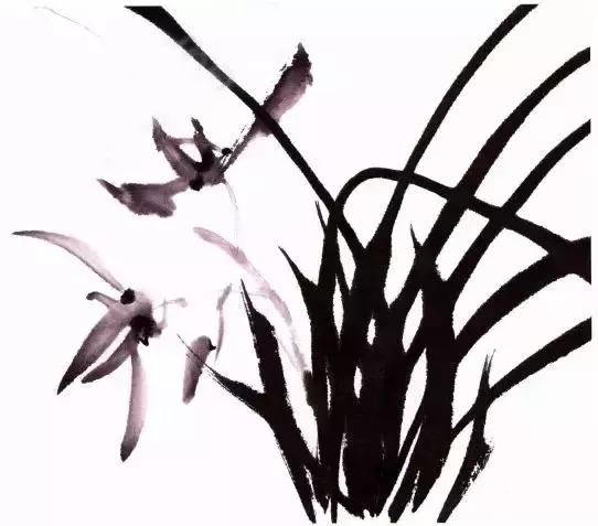 跟徐湛学国画兰草的画法,跟徐湛老师学国画全集兰草画法