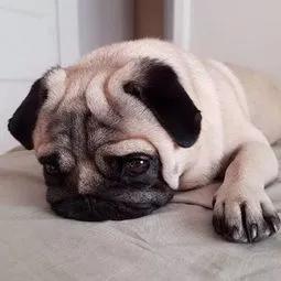 定了！9月1号开始实施！有这类车的人注意了