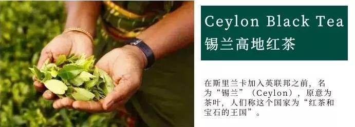 如火如荼|红茶界的F4，来啦