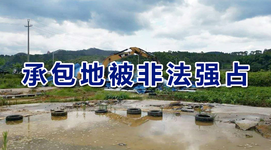 怎么夺回被强占的耕地,承包地被他人强占怎么办