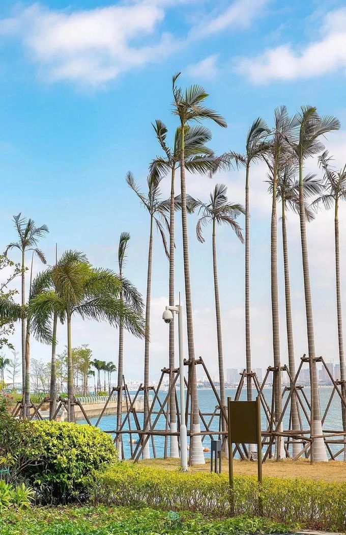 春节厦门自由行5日游攻略,自由行攻略厦门旅游景点