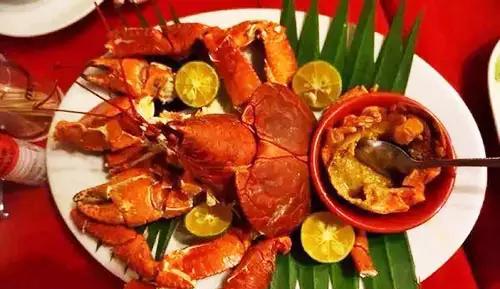 最大的陆生蟹椰子蟹,陆生寄居蟹会爬树吗