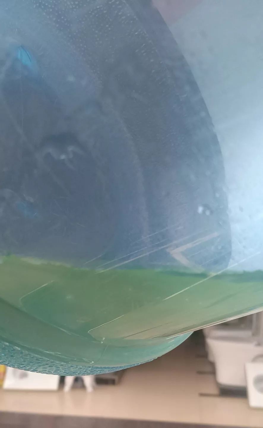 水桶长时间用几年有绿藻怎么办,桶装水青苔是绿藻还是蓝藻