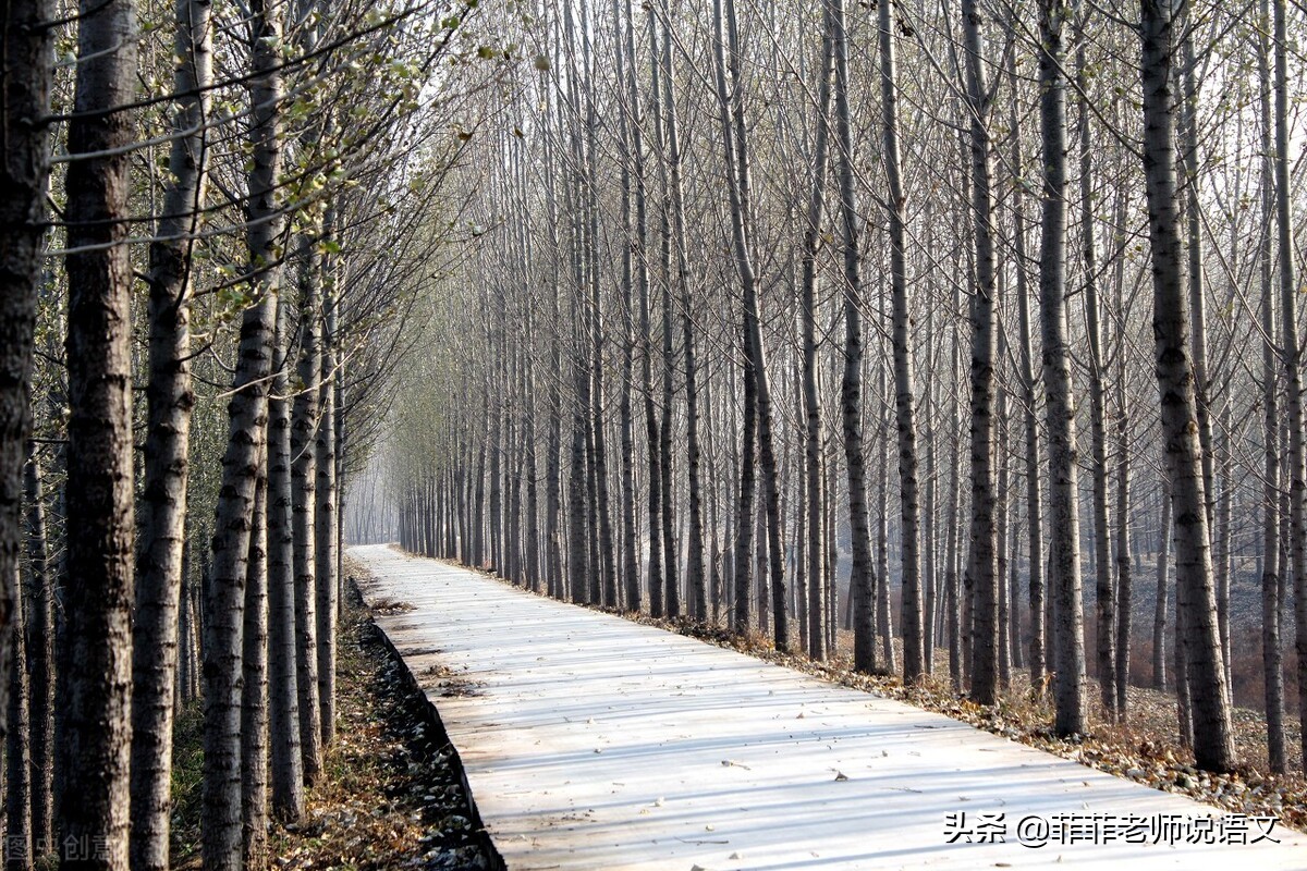 八年级上册语文第四单元课后生字,八年级上册语文四单元知识点归纳